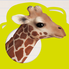 ‎Wer bin ich? Tiere entdecken