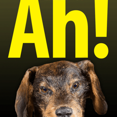 ‎Ah! – Die App