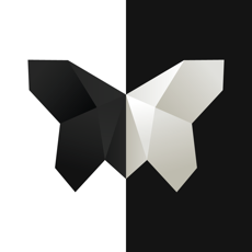 ‎◈ Symmetrie: Pfad zur Gipfel