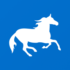 ‎Pony Messenger