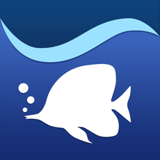 ‎Aqua TV