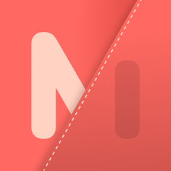 ‎MonAI: Personal Budget Planner