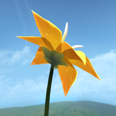 ‎Flower