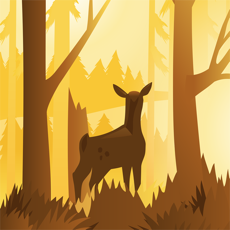 ‎Wildfulness 2 - Natur klingt