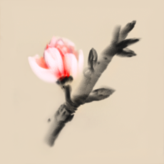 ‎Mirages of Winter