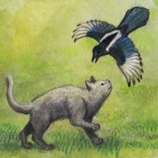 ‎Milo and the Magpies