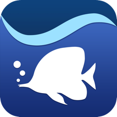 ‎Aqua TV