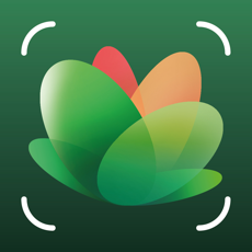 ‎NatureID - Pflanzen bestimmen