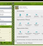 Heilpflanzen 1