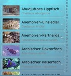 Tauchreisefuehrer