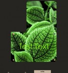Tiled 3