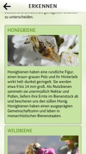 Bienen App ist ein kostenloser Download