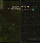9th Dawn 2