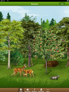 Die Waldfibel