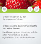 Ernaehrungs-Quiz 3