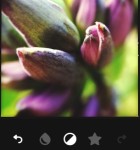 Landcam 2
