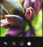 Landcam 3