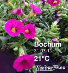 WeatherPro Foto