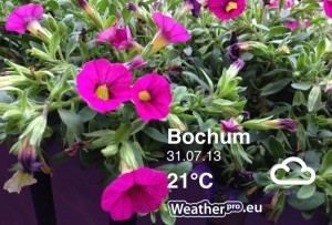 WeatherPro Foto