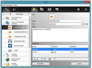 iPIN Windows