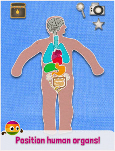 Brains My Body