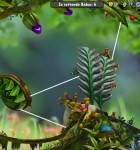 Jumping Jupingo 4
