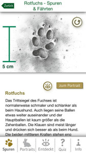 Tierspuren