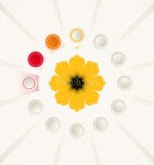 Luxuria Superbia 1