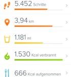 Fitbit App 1