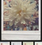 Polamatic 2