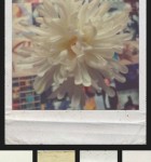Polamatic 3
