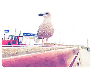 Waterlogue 4
