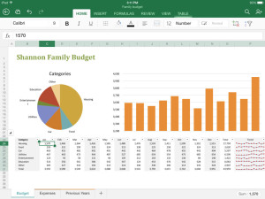 Microsoft Excel