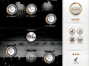 Whaale Multiroom Player iPad