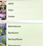 Bienen-App 3