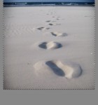 Photoblend Pro 1