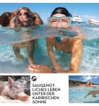 VIEW Special Tiere 2