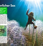 VIEW Special Tiere 4