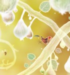 Botanicula 2