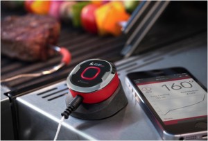 iGrill Mini