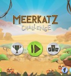 Meerkatz Challenge 1