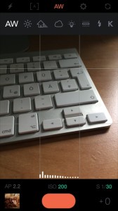 Manual