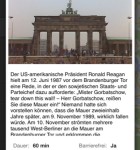 Mauerschau