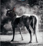 Adobe Photoshop Mix 3