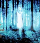 Das Geheimnis von Hollow 1