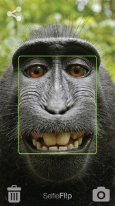SelfieFlip