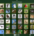 Vogelstimmen Europas 1