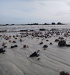 Canon G7 X Beispiebild 2