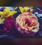 Filters for iPhone 2