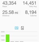 Garmin Connect 2